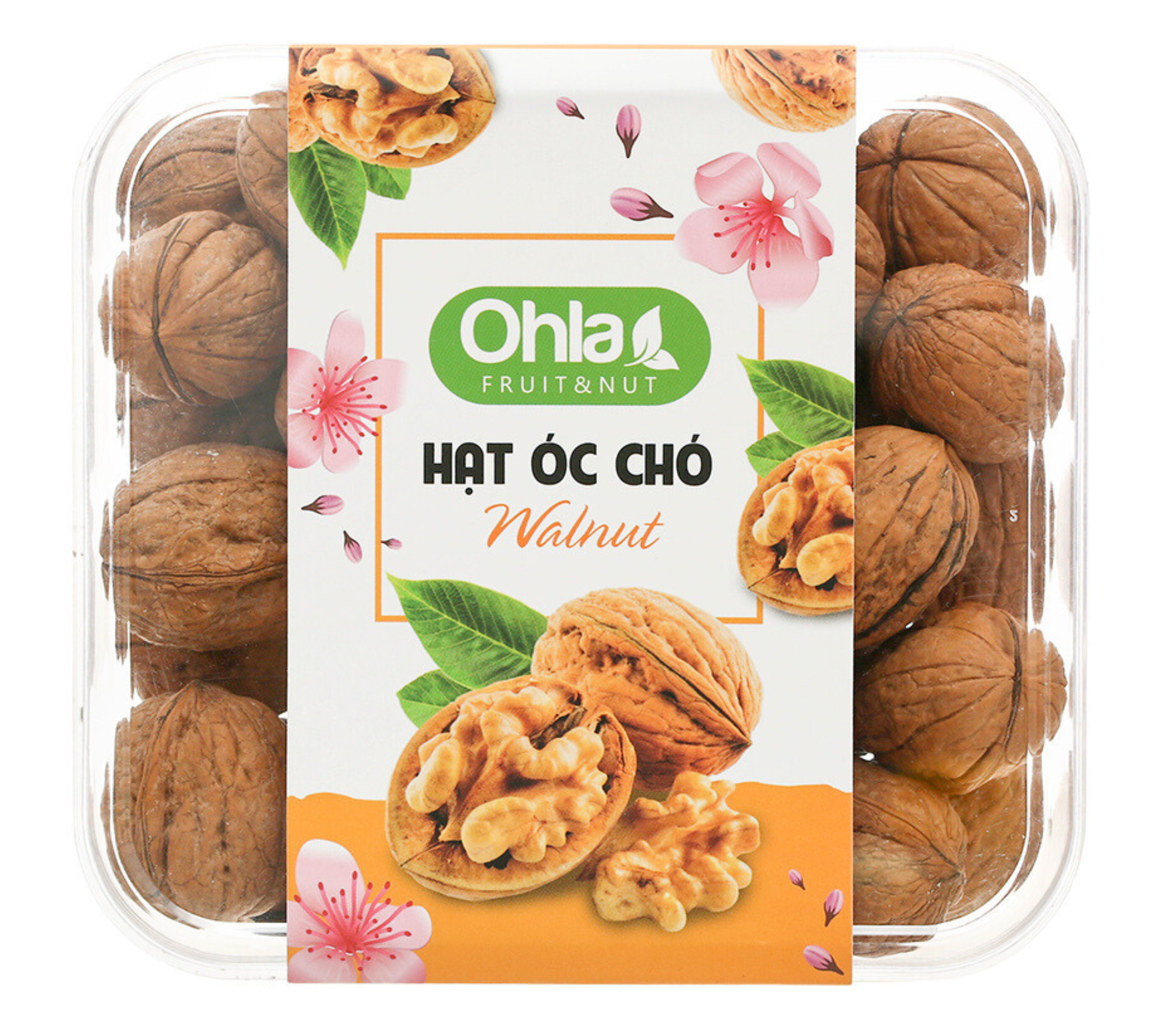 Hạt óc chó